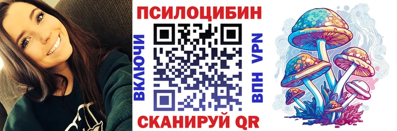 mega рабочий сайт  как найти закладки  Вилюйск  Галлюциногенные грибы Psilocybine cubensis 